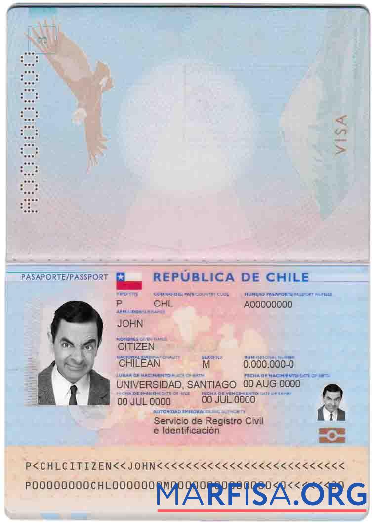 Realistic Chile passport sample